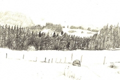 gordons-point-001