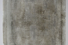 DSCN7567