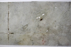DSCN7572