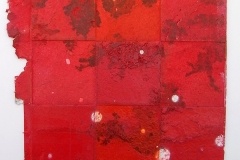 carobild-2009